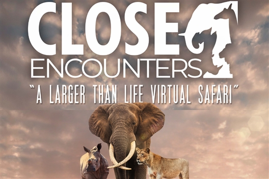 Wits Digital Dome Special Show: Close Encounters [5 yrs+, 60 mins]